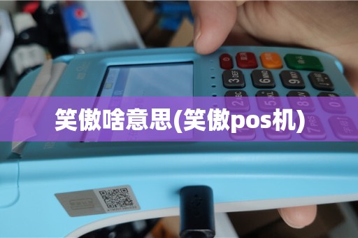笑傲啥意思(笑傲pos机)