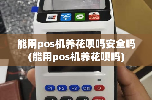 能用pos机养花呗吗安全吗(能用pos机养花呗吗)