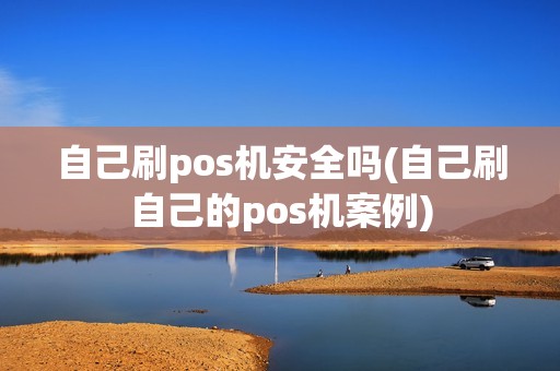 自己刷pos机安全吗(自己刷自己的pos机案例)