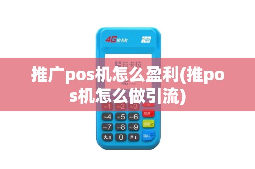 推广pos机怎么盈利(推pos机怎么做引流)