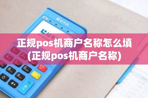 正规pos机商户名称怎么填(正规pos机商户名称)