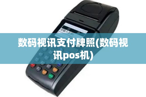 数码视讯支付牌照(数码视讯pos机)