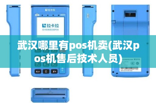 武汉哪里有pos机卖(武汉pos机售后技术人员)
