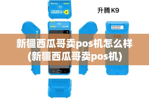 新疆西瓜哥卖pos机怎么样(新疆西瓜哥卖pos机)