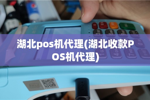 湖北pos机代理(湖北收款POS机代理)