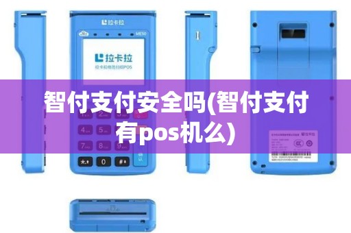 智付支付安全吗(智付支付有pos机么)