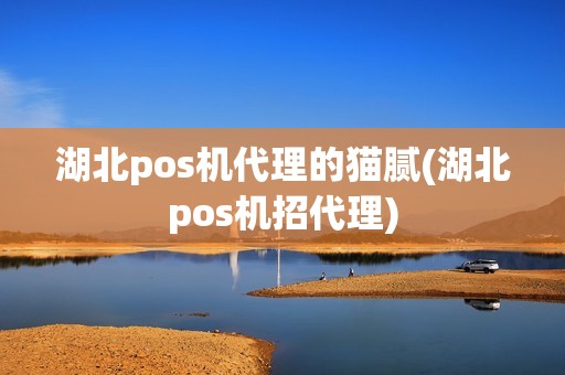 湖北pos机代理的猫腻(湖北pos机招代理)
