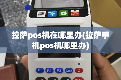 拉萨pos机在哪里办(拉萨手机pos机哪里办)