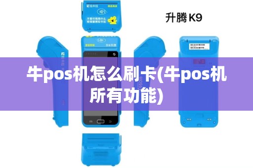 牛pos机怎么刷卡(牛pos机所有功能)