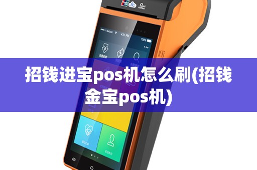 招钱进宝pos机怎么刷(招钱金宝pos机)