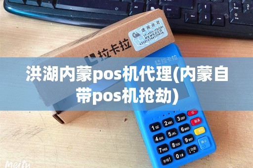 洪湖内蒙pos机代理(内蒙自带pos机抢劫)