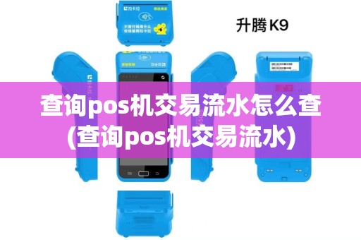 查询pos机交易流水怎么查(查询pos机交易流水)