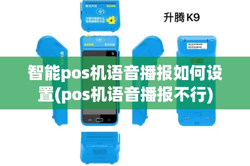 智能pos机语音播报如何设置(pos机语音播报不行)