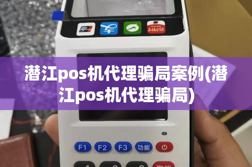 潜江pos机代理骗局案例(潜江pos机代理骗局)