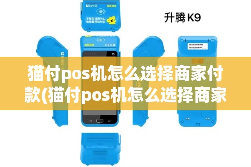 猫付pos机怎么选择商家付款(猫付pos机怎么选择商家)