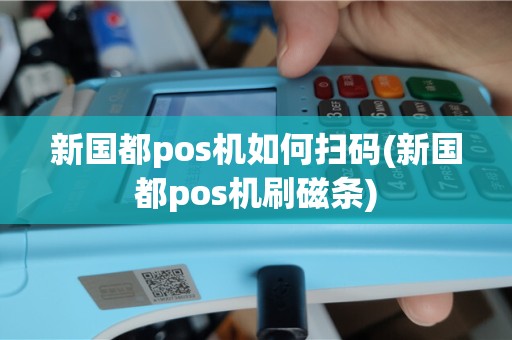 新国都pos机如何扫码(新国都pos机刷磁条)