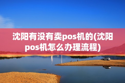 沈阳有没有卖pos机的(沈阳pos机怎么办理流程)