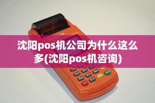 沈阳pos机公司为什么这么多(沈阳pos机咨询)