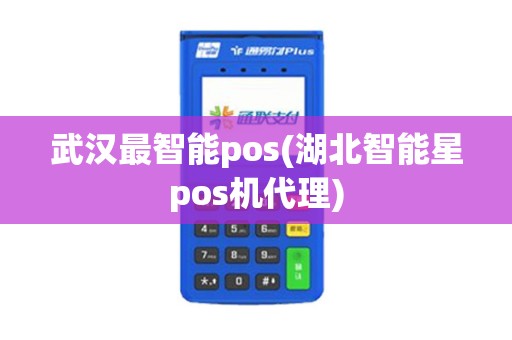 武汉最智能pos(湖北智能星pos机代理)