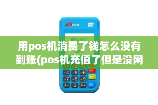 用pos机消费了钱怎么没有到账(pos机充值了但是没网)