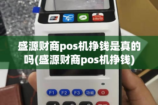 盛源财商pos机挣钱是真的吗(盛源财商pos机挣钱)