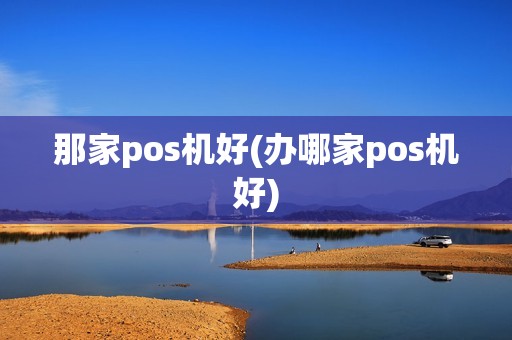 那家pos机好(办哪家pos机好)