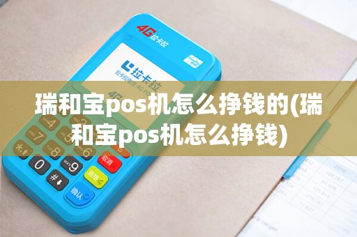 瑞和宝pos机怎么挣钱的(瑞和宝pos机怎么挣钱)