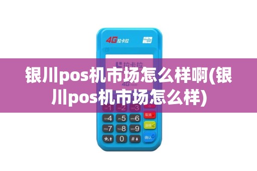 银川pos机市场怎么样啊(银川pos机市场怎么样)