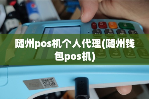 随州pos机个人代理(随州钱包pos机)