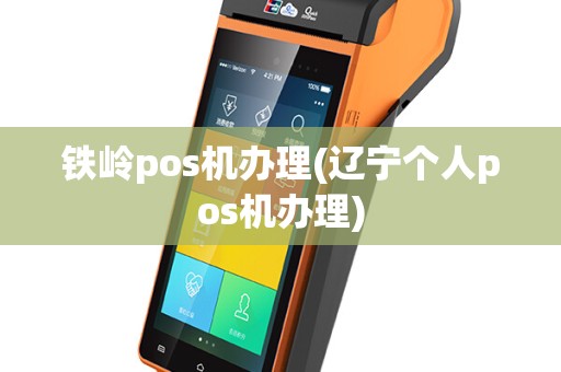 铁岭pos机办理(辽宁个人pos机办理)