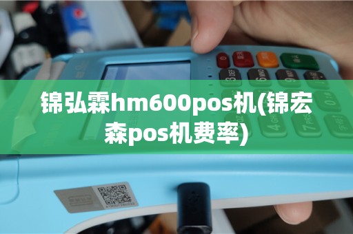 锦弘霖hm600pos机(锦宏森pos机费率)