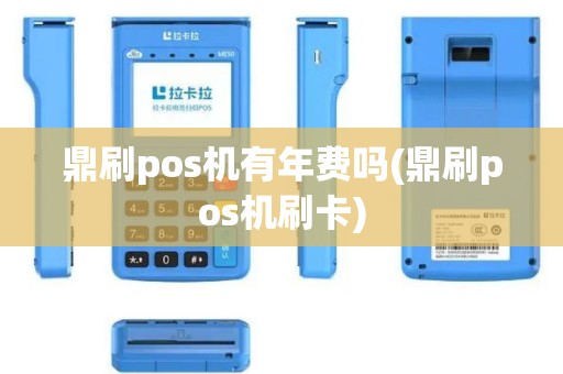 鼎刷pos机有年费吗(鼎刷pos机刷卡)