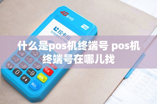 什么是pos机终端号 pos机终端号在哪儿找