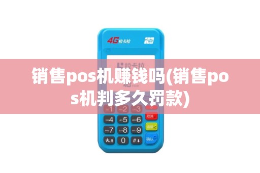 销售pos机赚钱吗(销售pos机判多久罚款)
