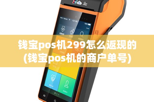 钱宝pos机299怎么返现的(钱宝pos机的商户单号)