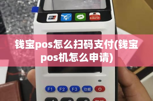 钱宝pos怎么扫码支付(钱宝pos机怎么申请)