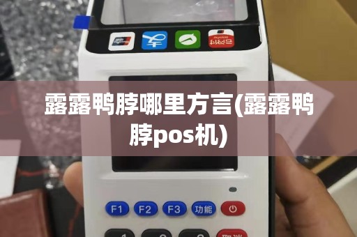 露露鸭脖哪里方言(露露鸭脖pos机)