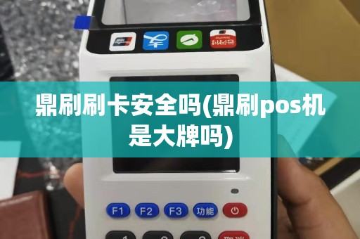 鼎刷刷卡安全吗(鼎刷pos机是大牌吗)