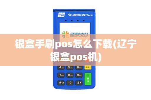 银盒手刷pos怎么下载(辽宁银盒pos机)