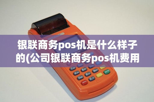 银联商务pos机是什么样子的(公司银联商务pos机费用)