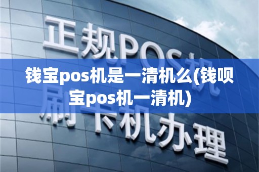 钱宝pos机是一清机么(钱呗宝pos机一清机)