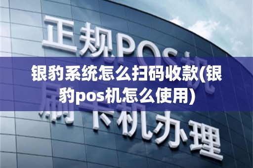 银豹系统怎么扫码收款(银豹pos机怎么使用)