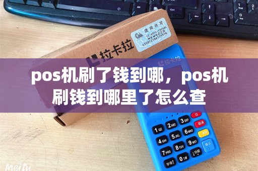 pos机刷了钱到哪，pos机刷钱到哪里了怎么查