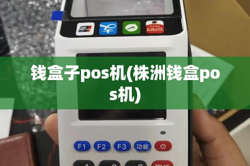 钱盒子pos机(株洲钱盒pos机)