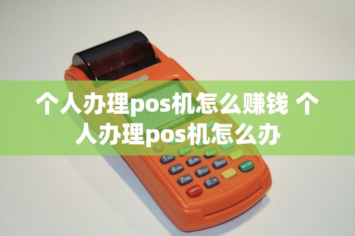 个人办理pos机怎么赚钱 个人办理pos机怎么办