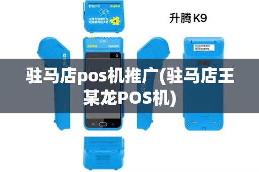 驻马店pos机推广(驻马店王某龙POS机)