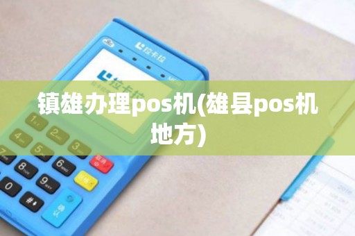 镇雄办理pos机(雄县pos机地方)