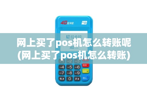 网上买了pos机怎么转账呢(网上买了pos机怎么转账)