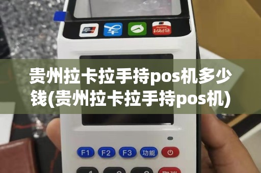 贵州拉卡拉手持pos机多少钱(贵州拉卡拉手持pos机)