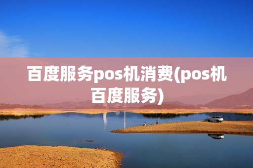 百度服务pos机消费(pos机百度服务)